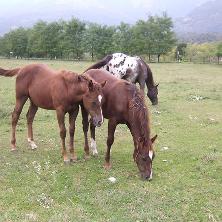 Agriturismo Al Ranch Castello dʼAviano エクステリア 写真