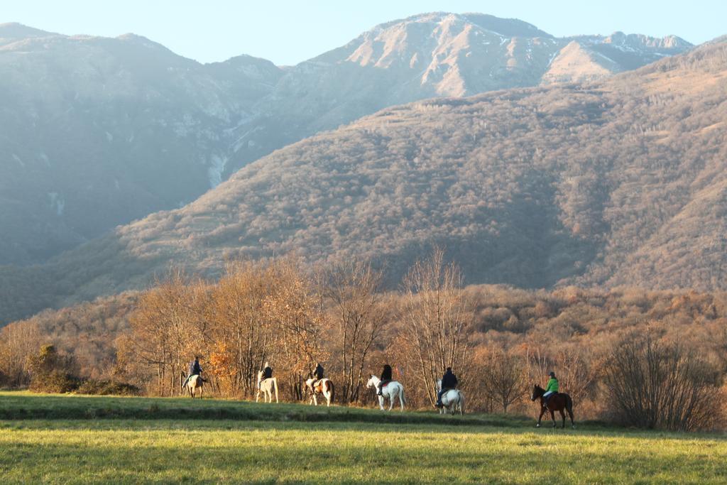 Agriturismo Al Ranch Castello dʼAviano エクステリア 写真